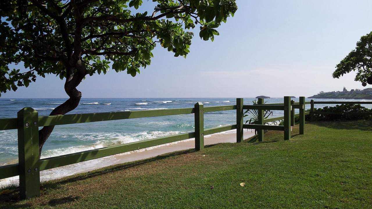Photo of Others in Laie