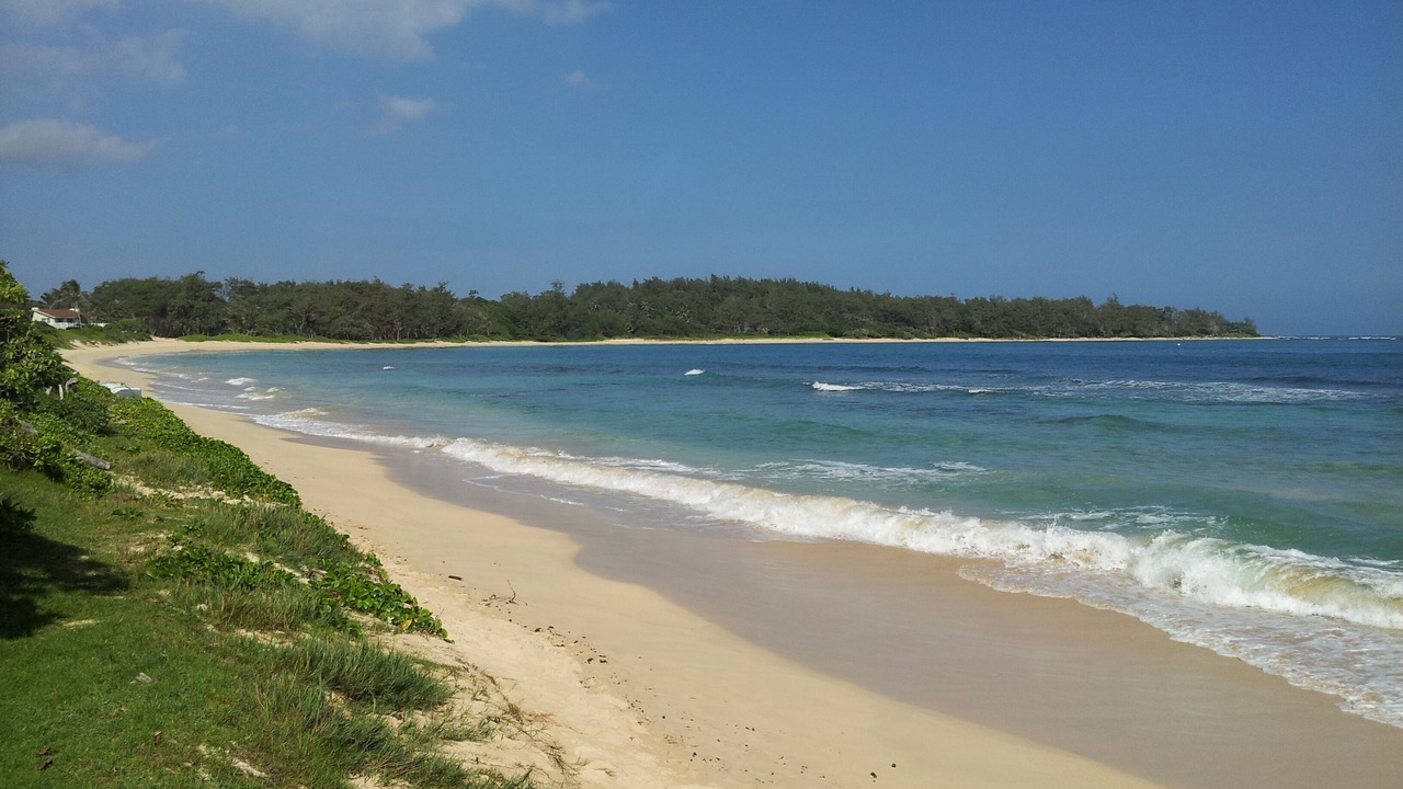 Photo of Others in Laie