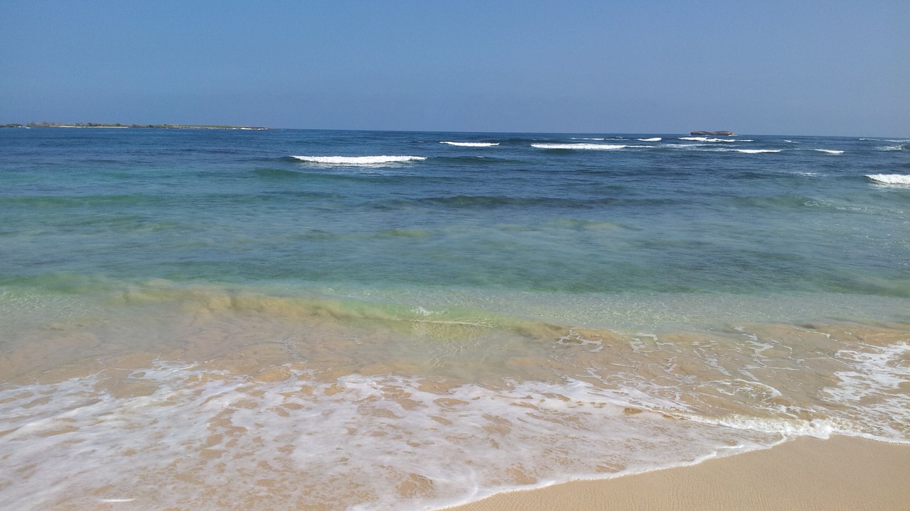Photo of Others in Laie