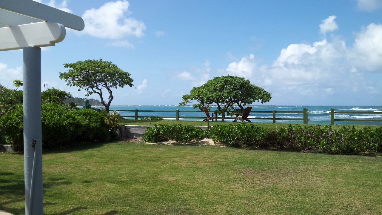 Photo of Others in Laie