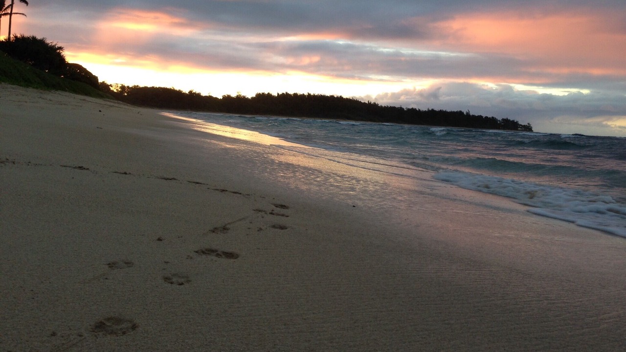 Photo of Others in Laie