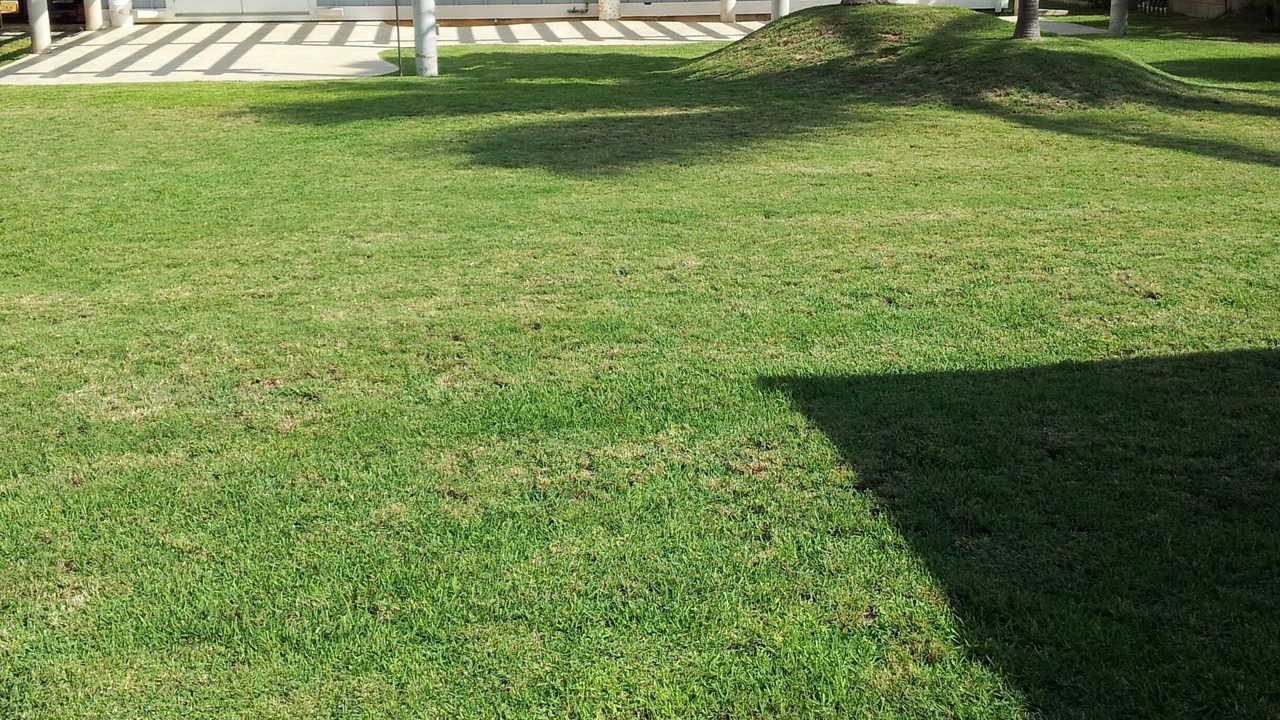 Photo of Others in Laie