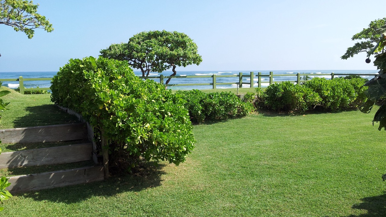 Photo of Others in Laie
