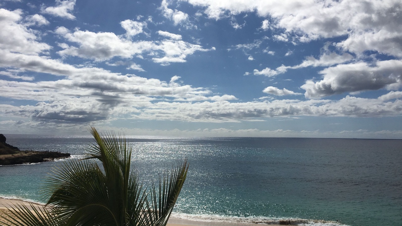 Photo of Others in Makaha