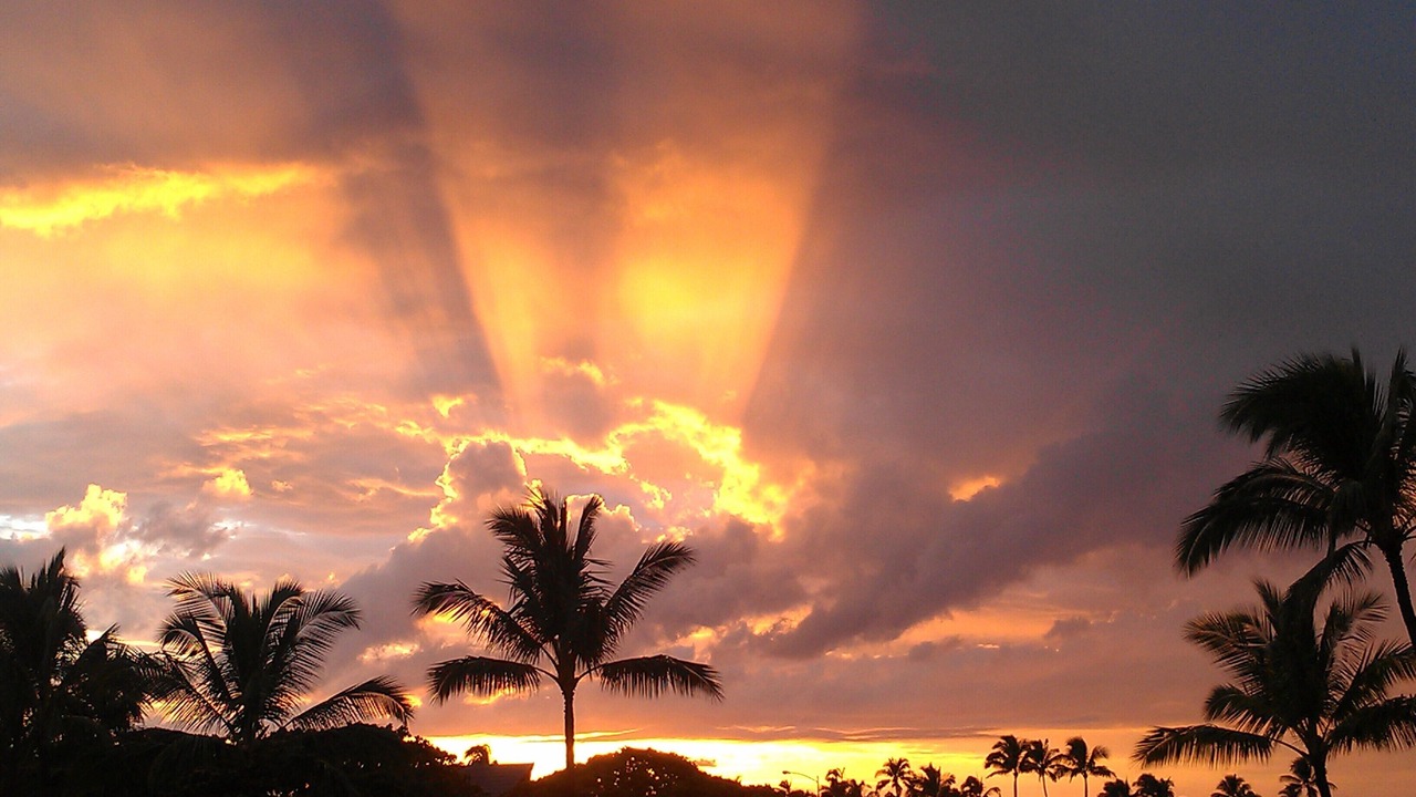 Photo of Others in Ko Olina