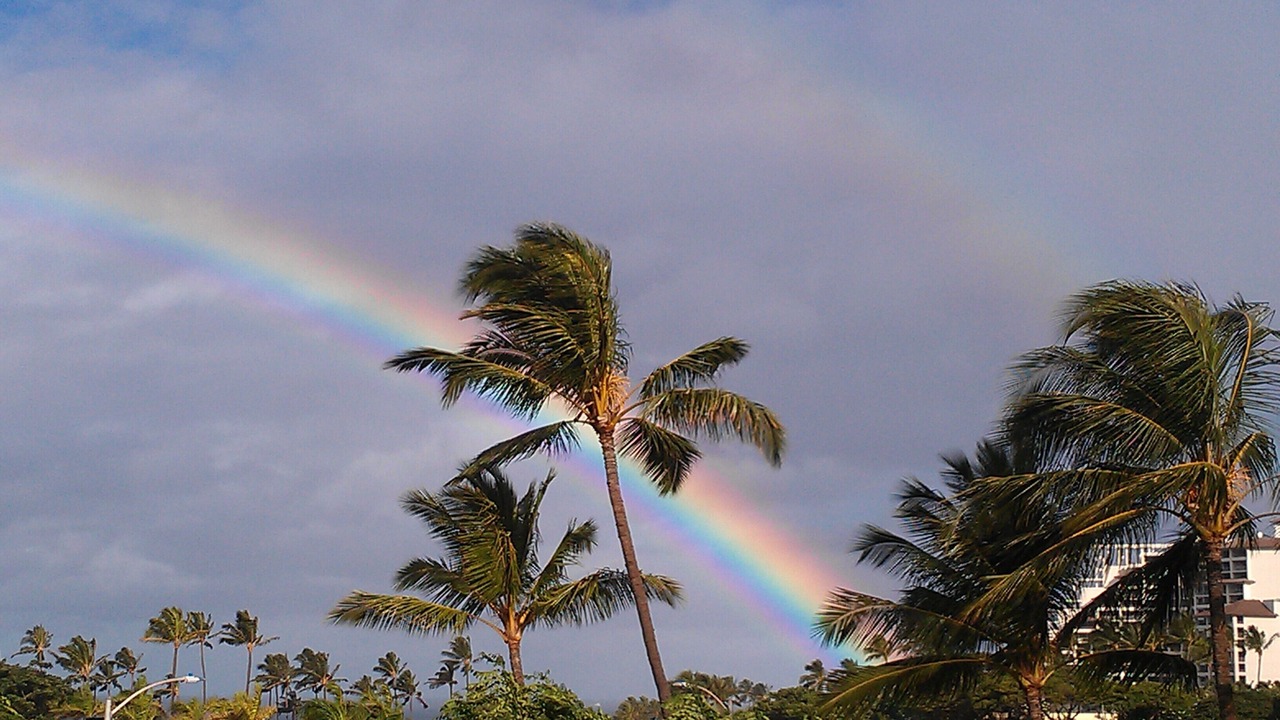 Photo of Others in Ko Olina