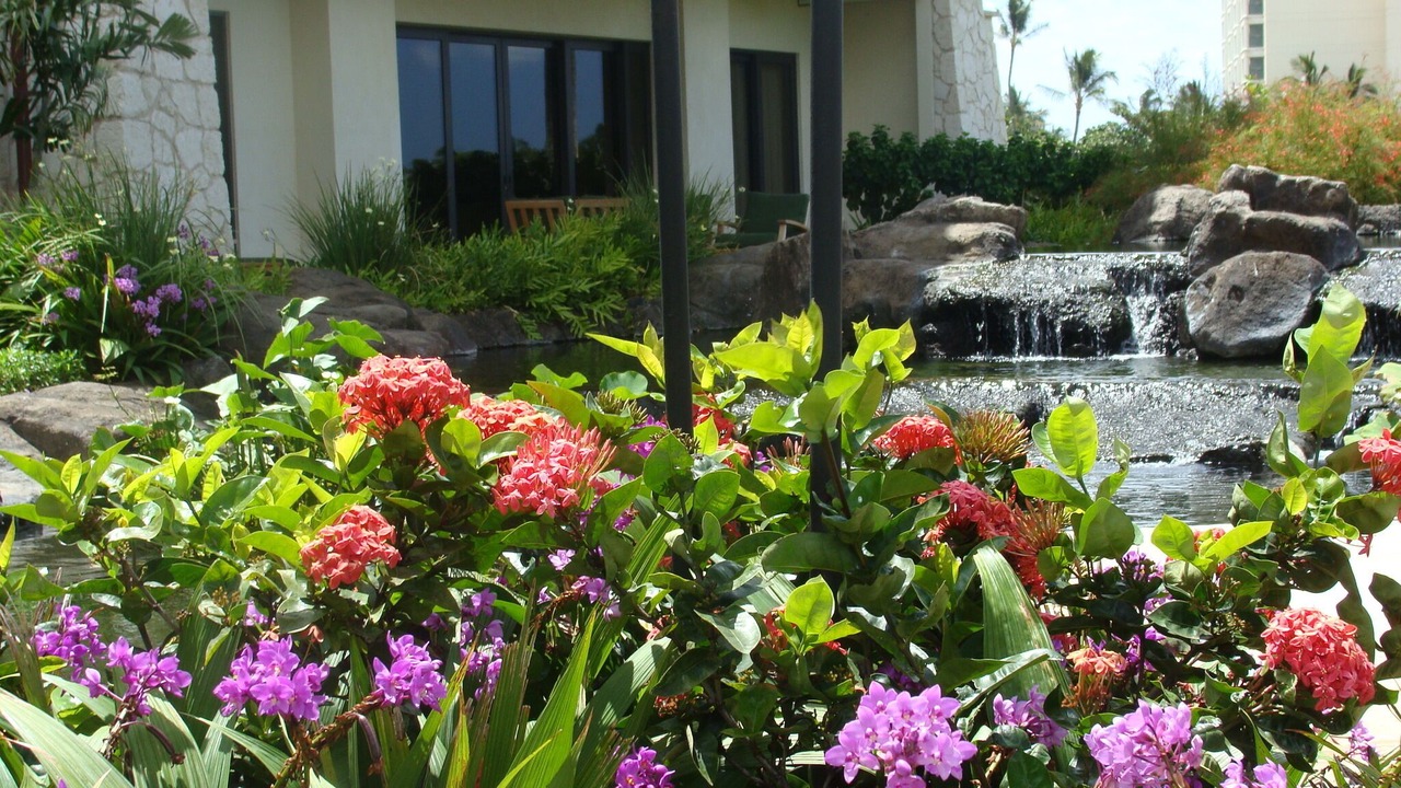 Photo of Others in Ko Olina