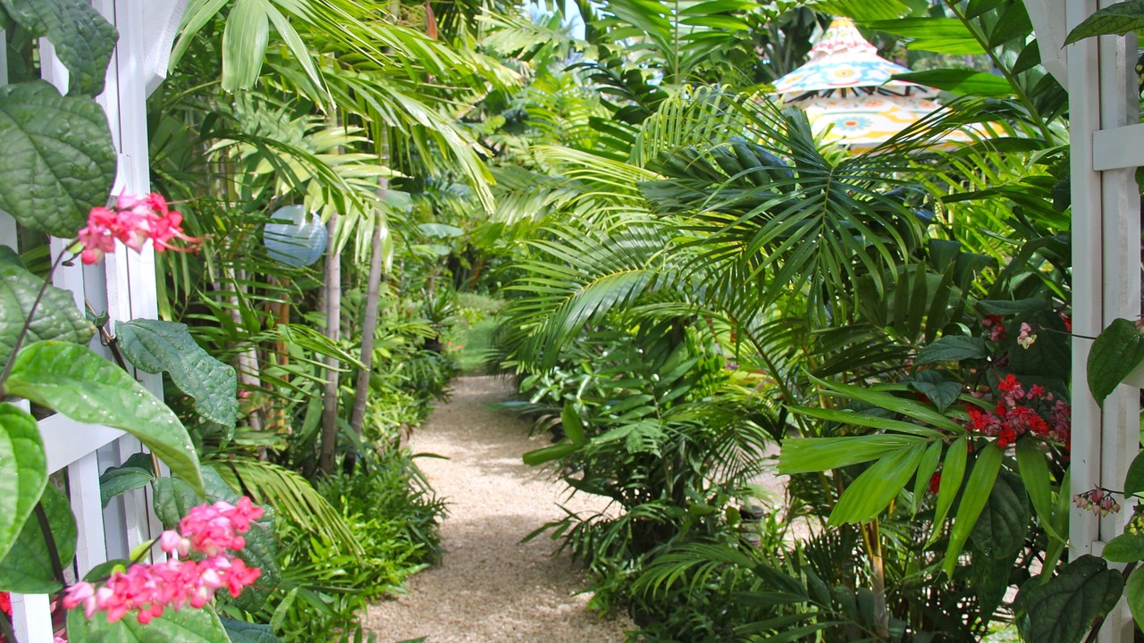 Photo of Outdoor in Kailua
