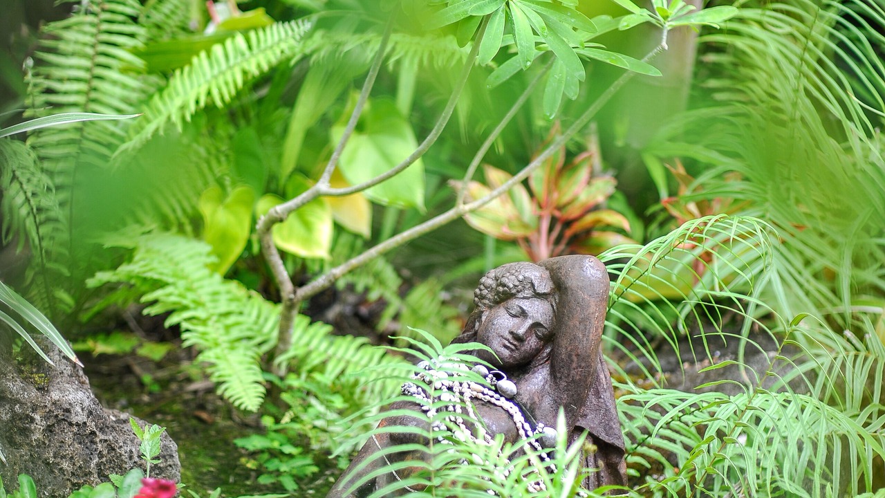 Photo of Outdoor in Kailua
