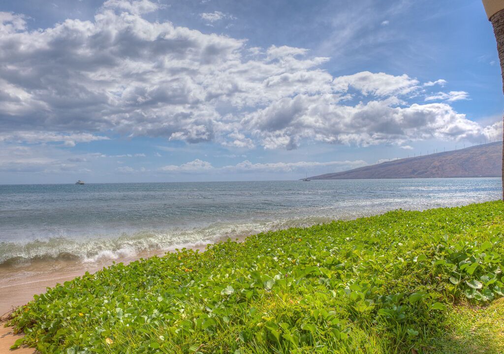 Photo of Others in Kihei