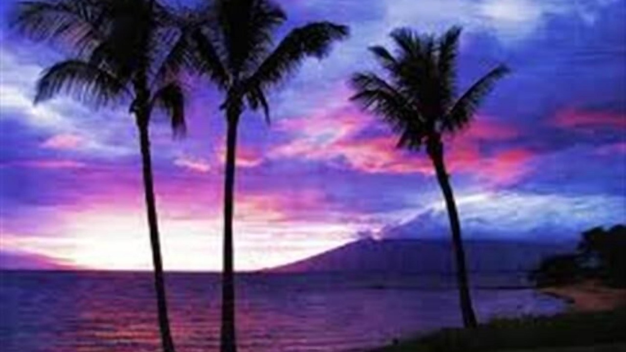 Photo of Others in Kihei