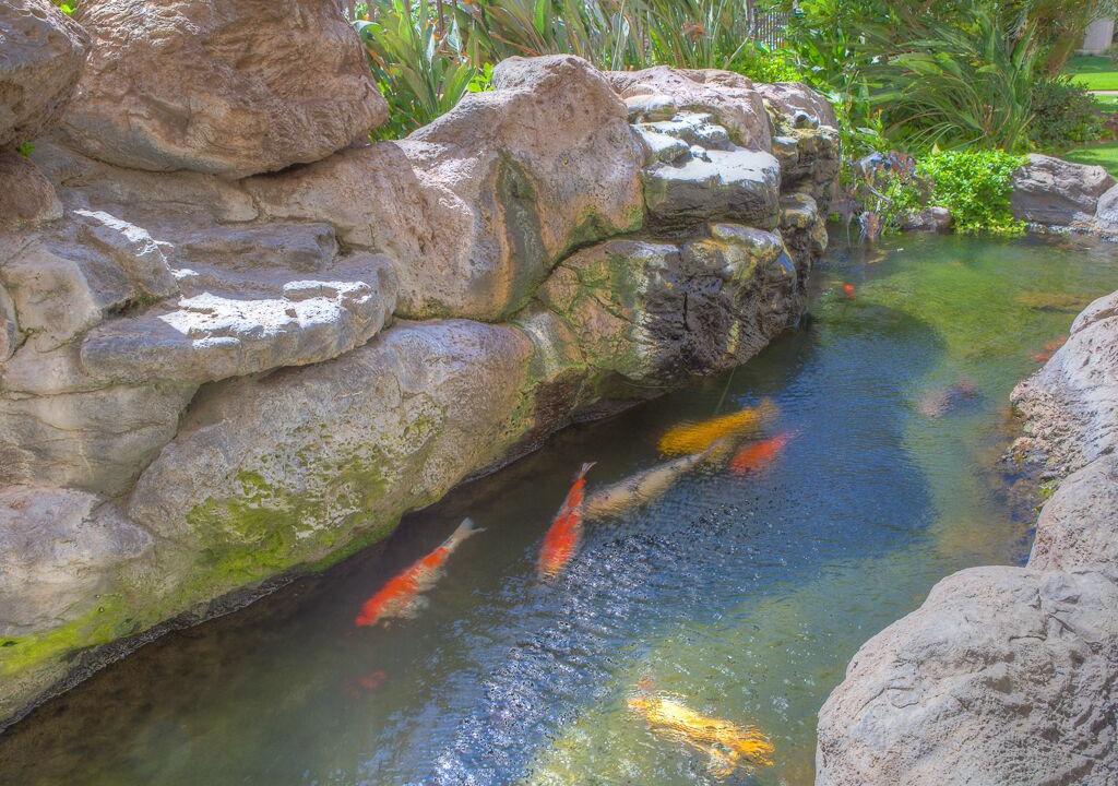 Photo of Outdoor in Kihei