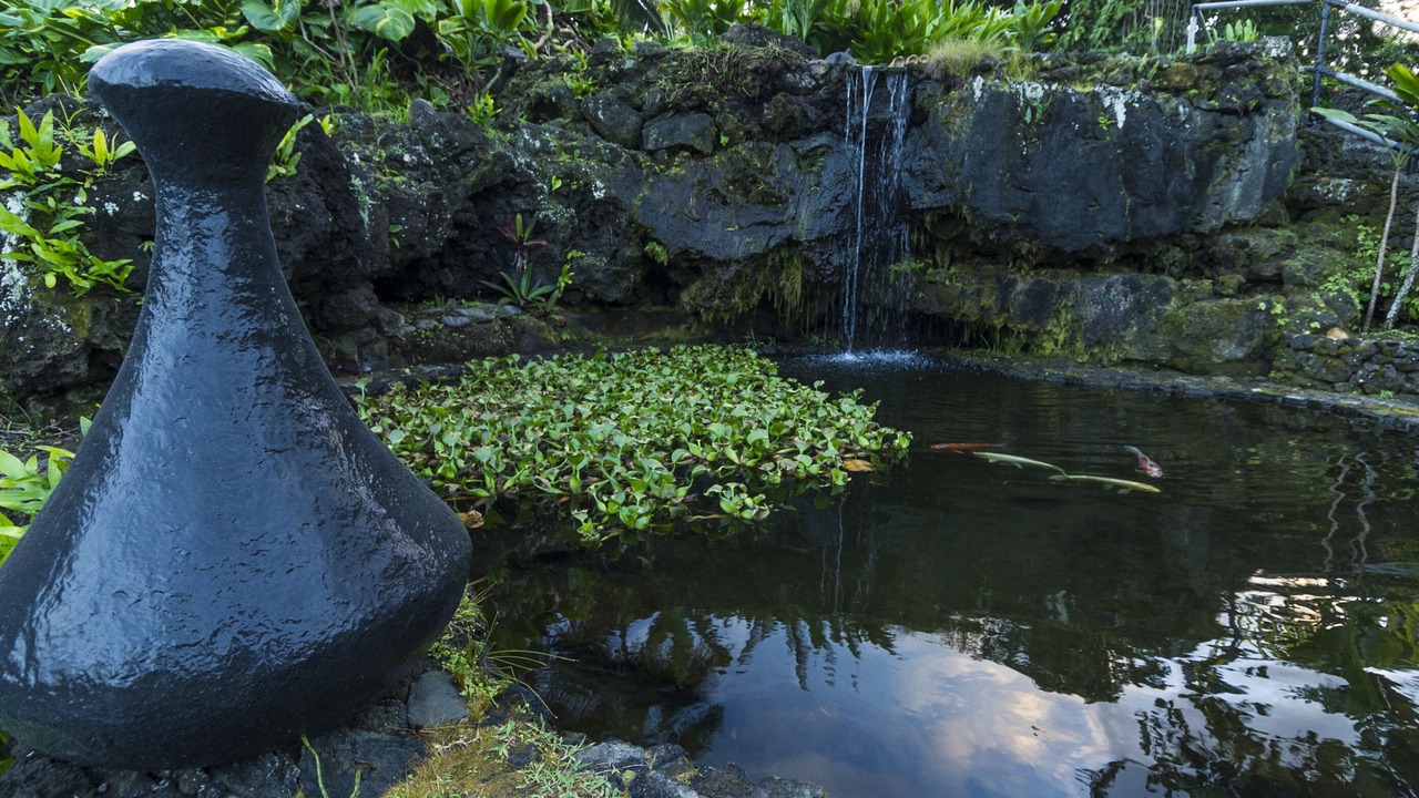 Photo of Others in Hana