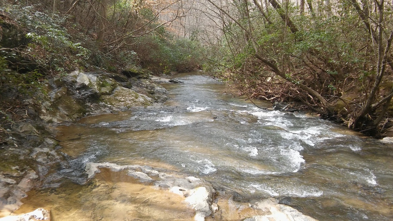 Photo of Outdoor in Lula