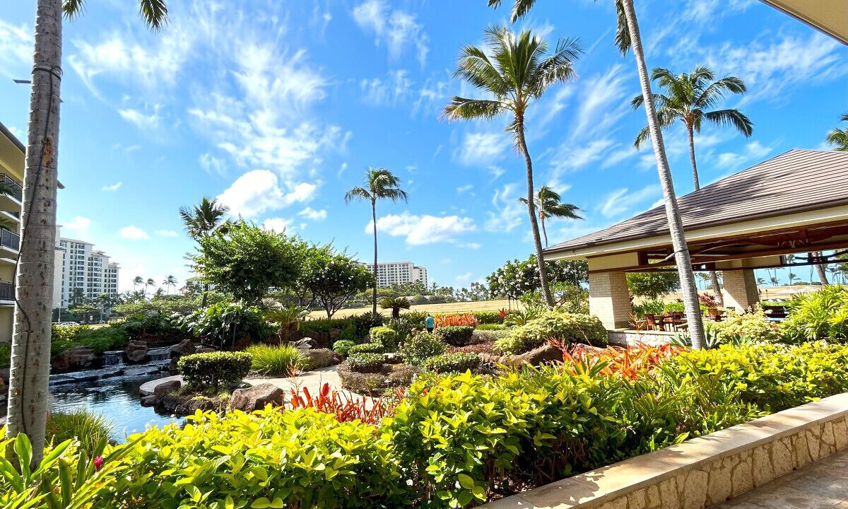 Photo of Others in Ko Olina