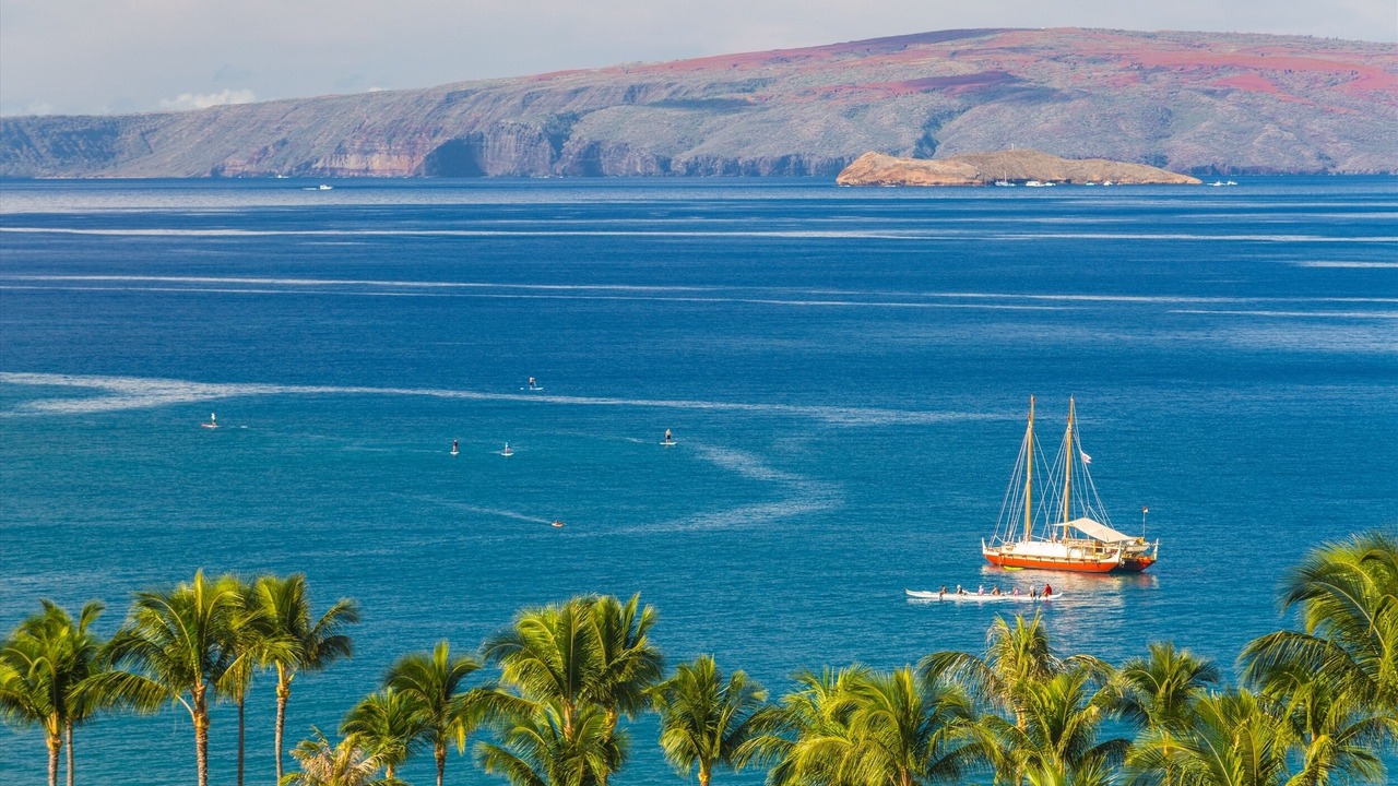 Photo of Others in Wailea