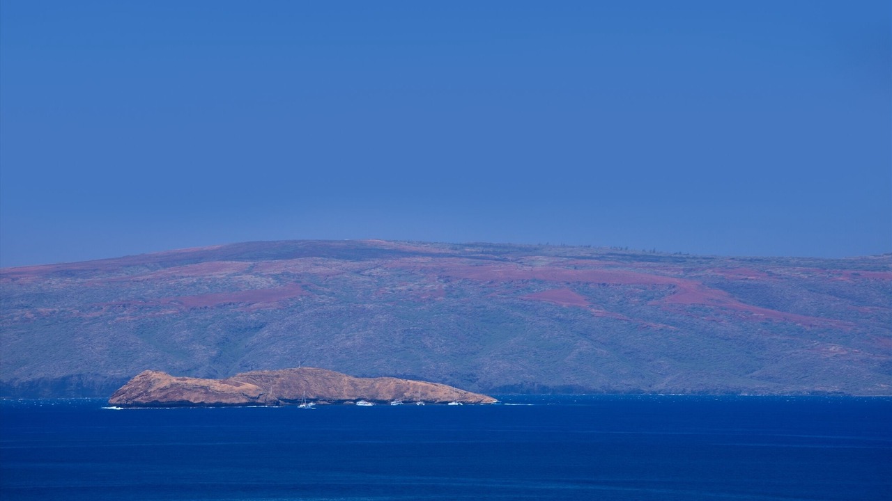 Photo of Others in Wailea