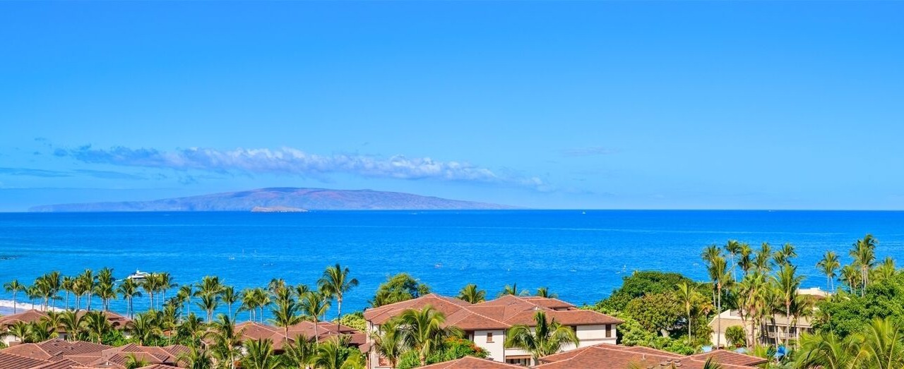 Photo of Others in Wailea