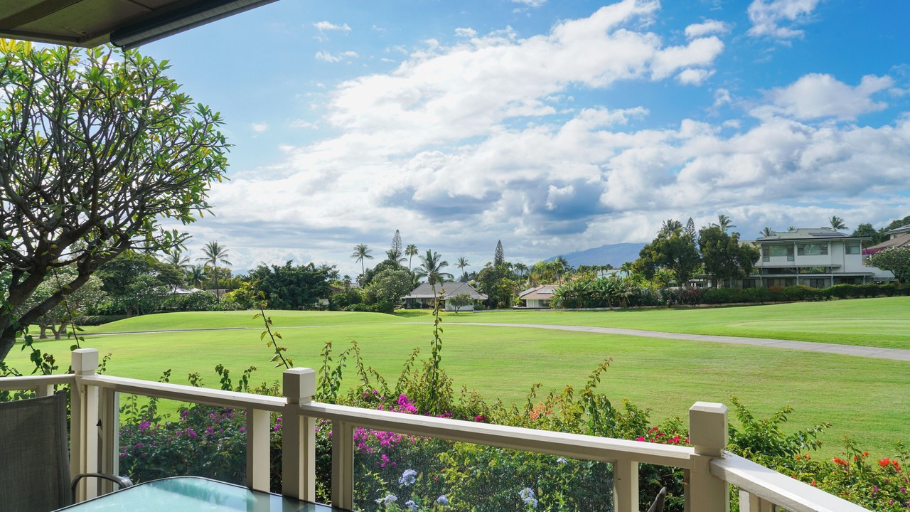 Photo of Outdoor in Wailea