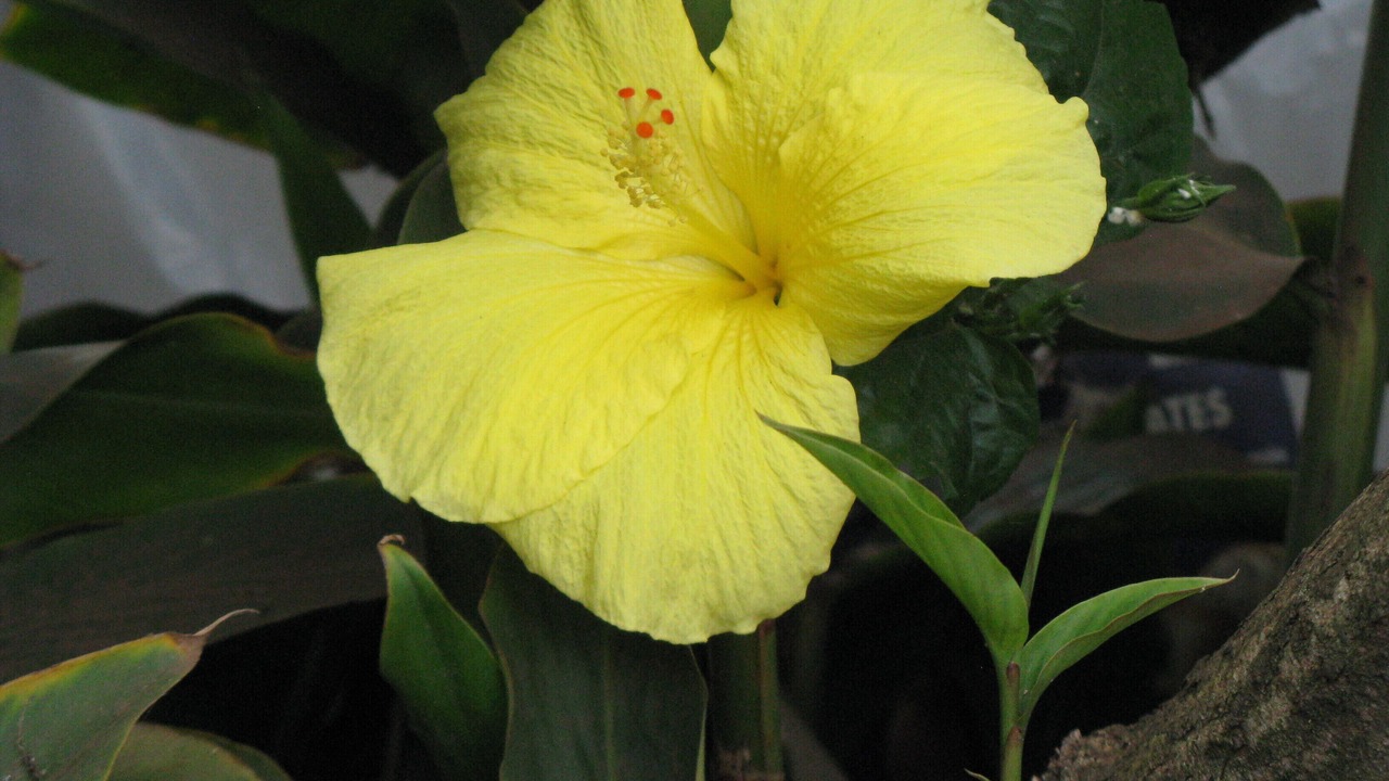 Photo of Outdoor in Kahuku