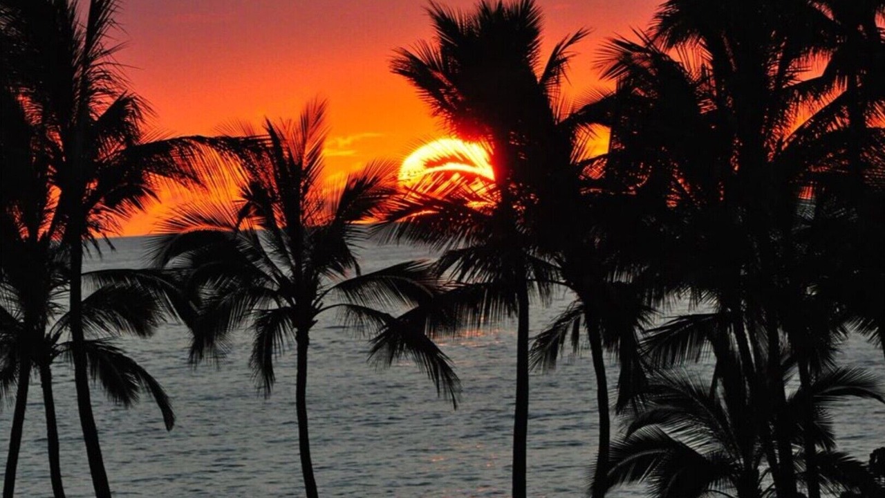 Photo of Others in Wailea