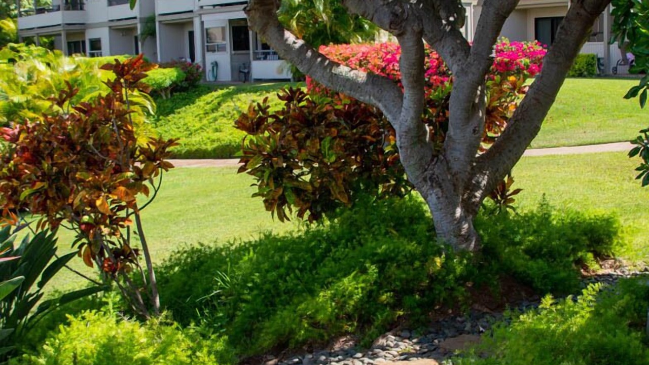 Photo of Outdoor in Wailea