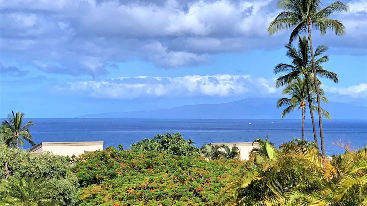 Photo of Bedroom in Wailea