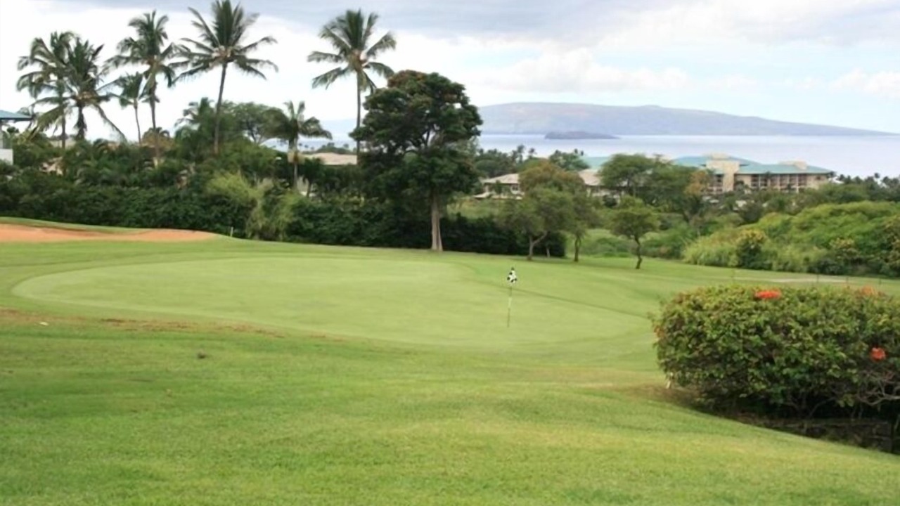 Photo of Others in Wailea