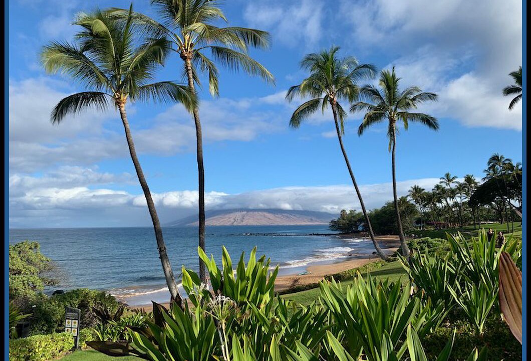 Photo of Others in Wailea