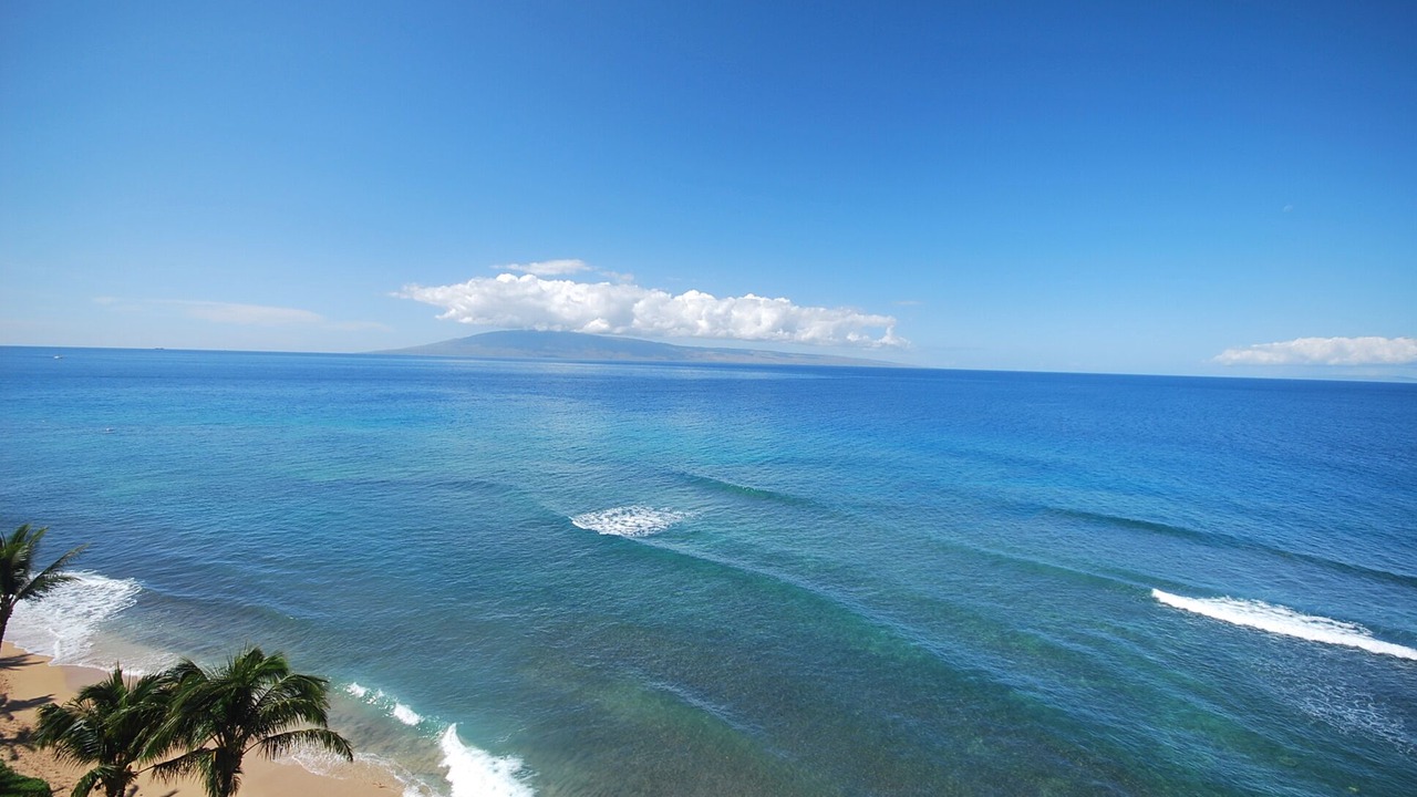 Photo of Others in Honokowai