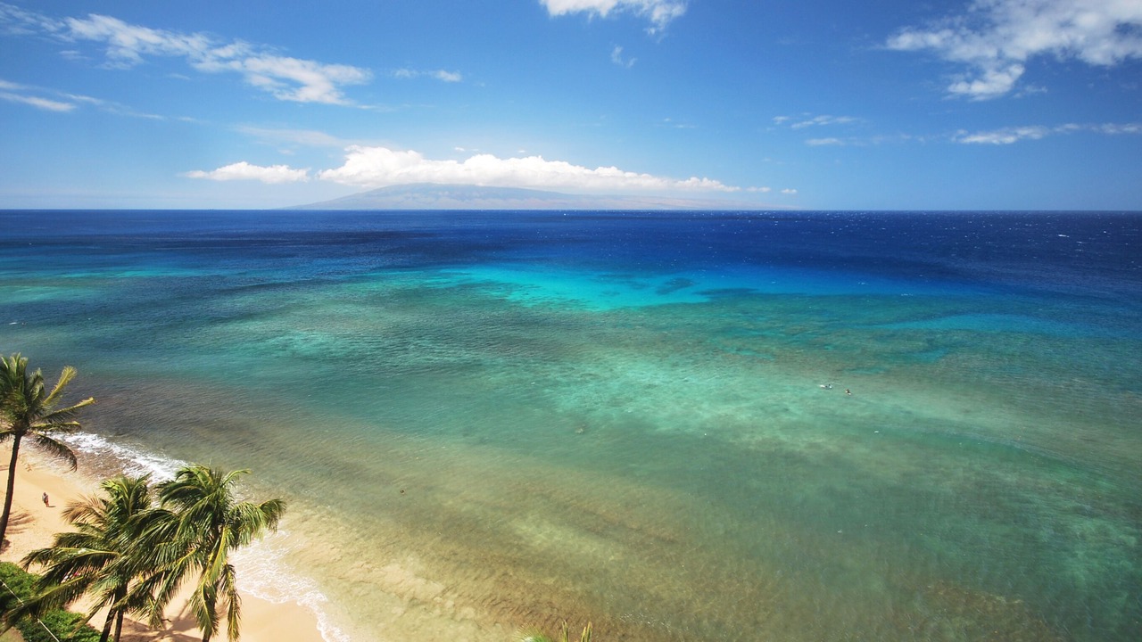 Photo of Others in Honokowai