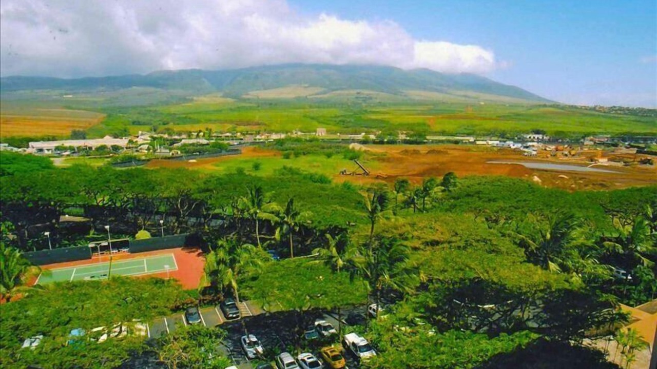 Photo of Others in Honokowai