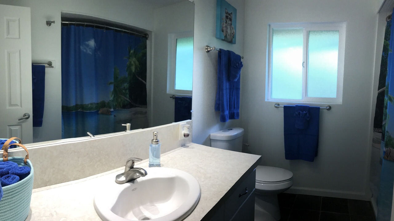 Photo of Bathroom in Kapoho