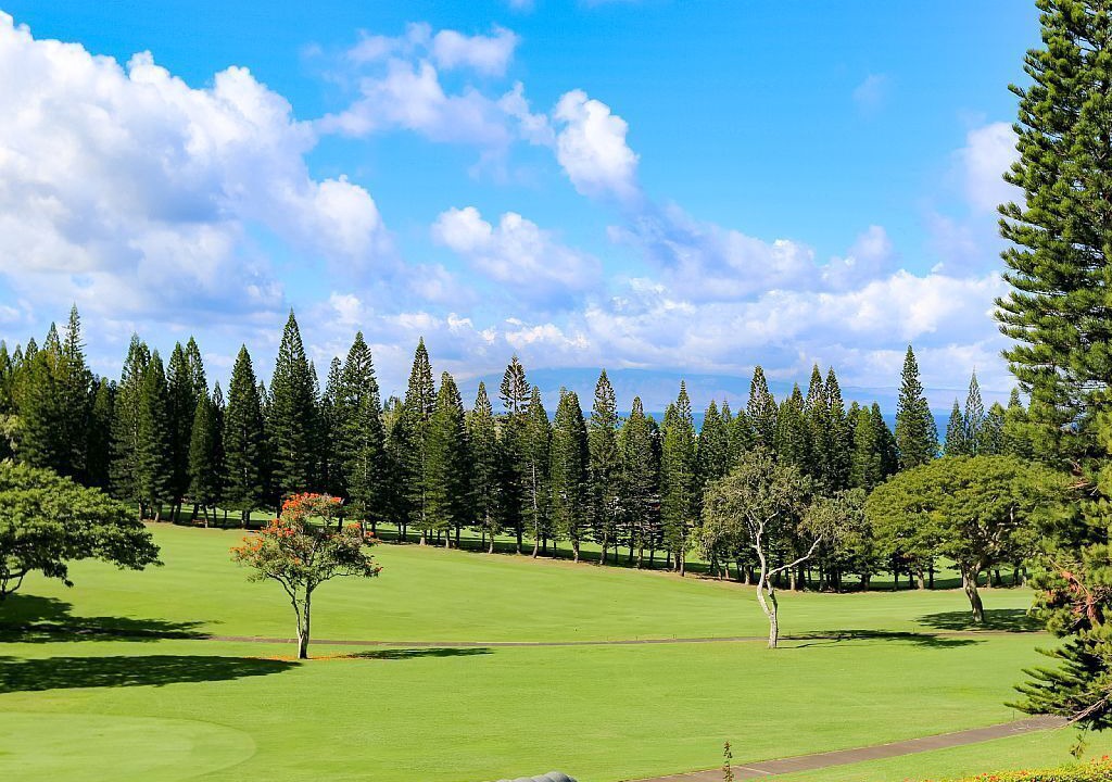 Photo of Others in Kapalua