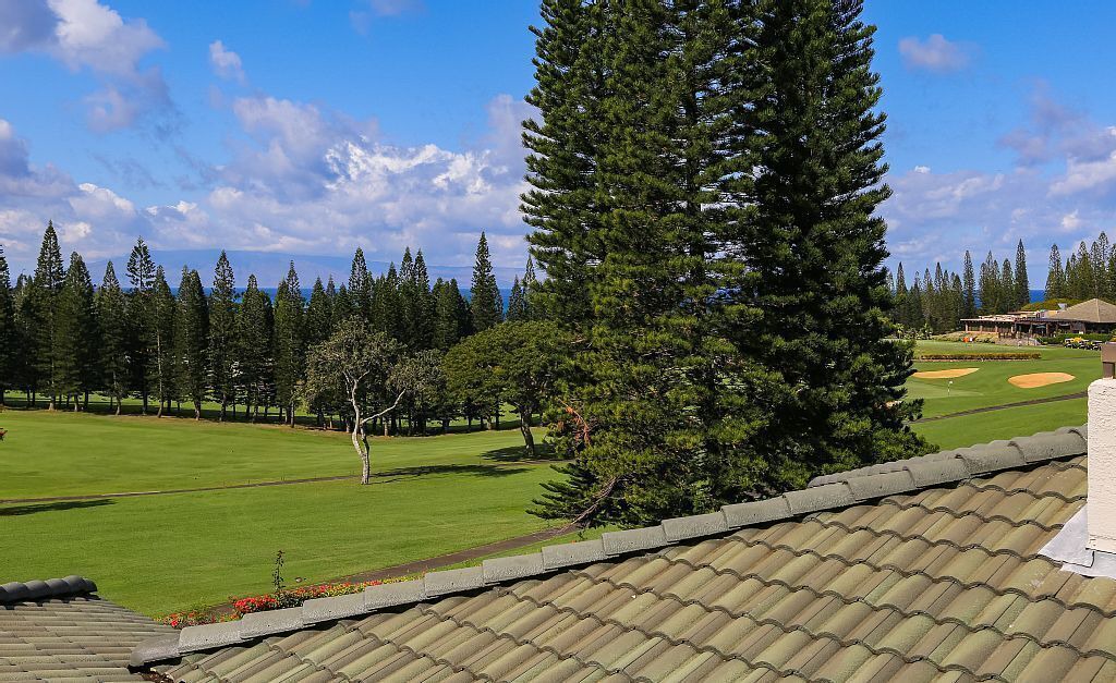 Photo of Outdoor in Kapalua