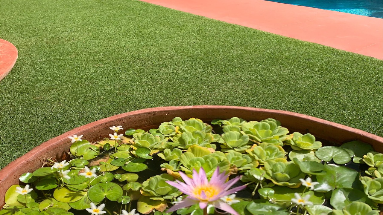 Photo of Others in Wailea