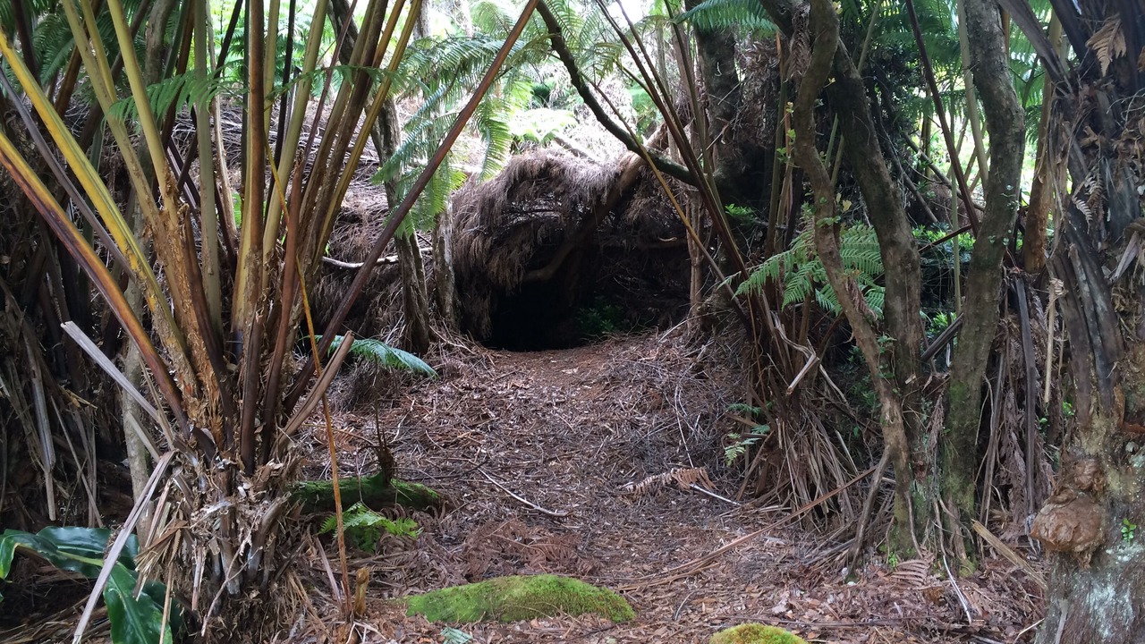 Photo of Outdoor in Volcano