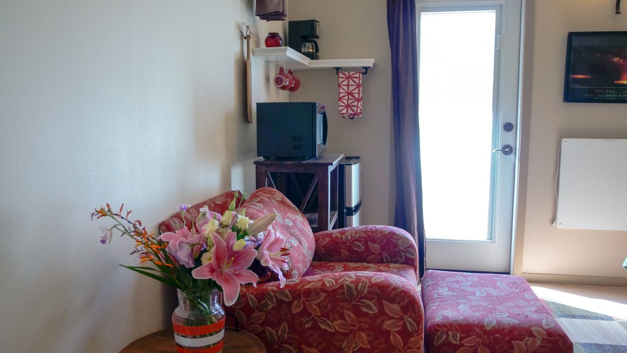 Photo of Livingroom in Volcano