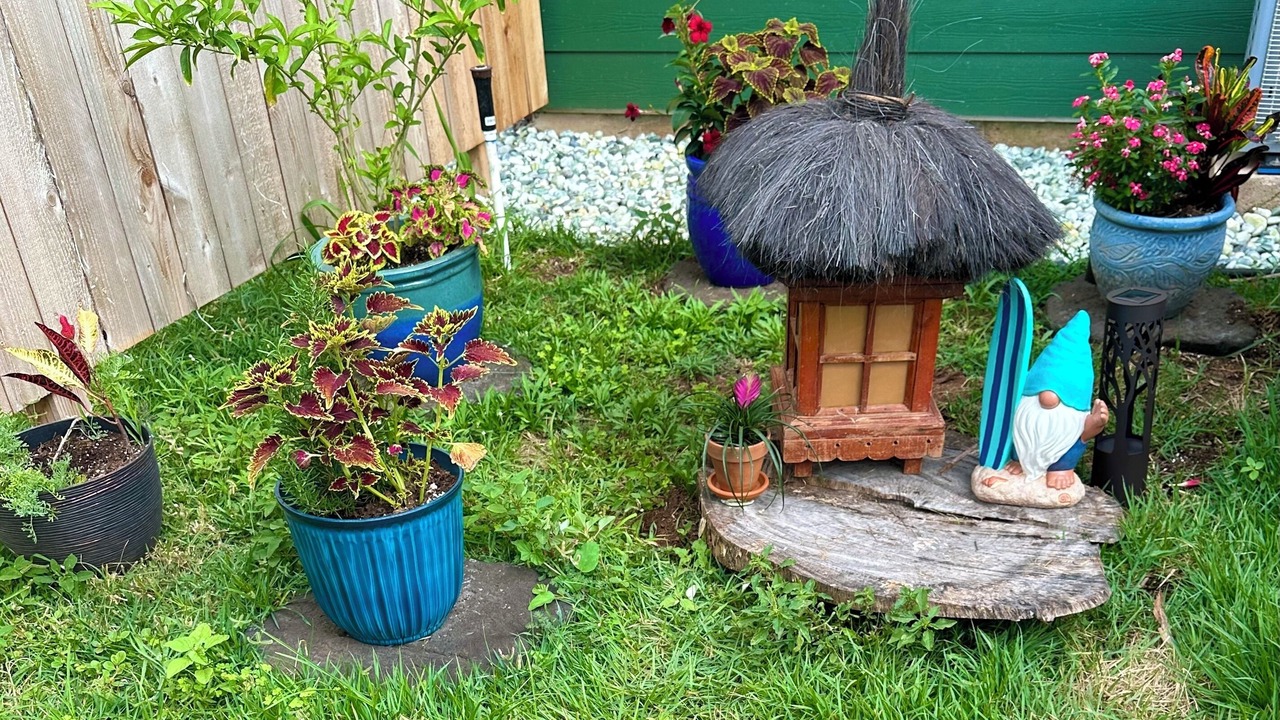 Photo of Outdoor in Mokuleia