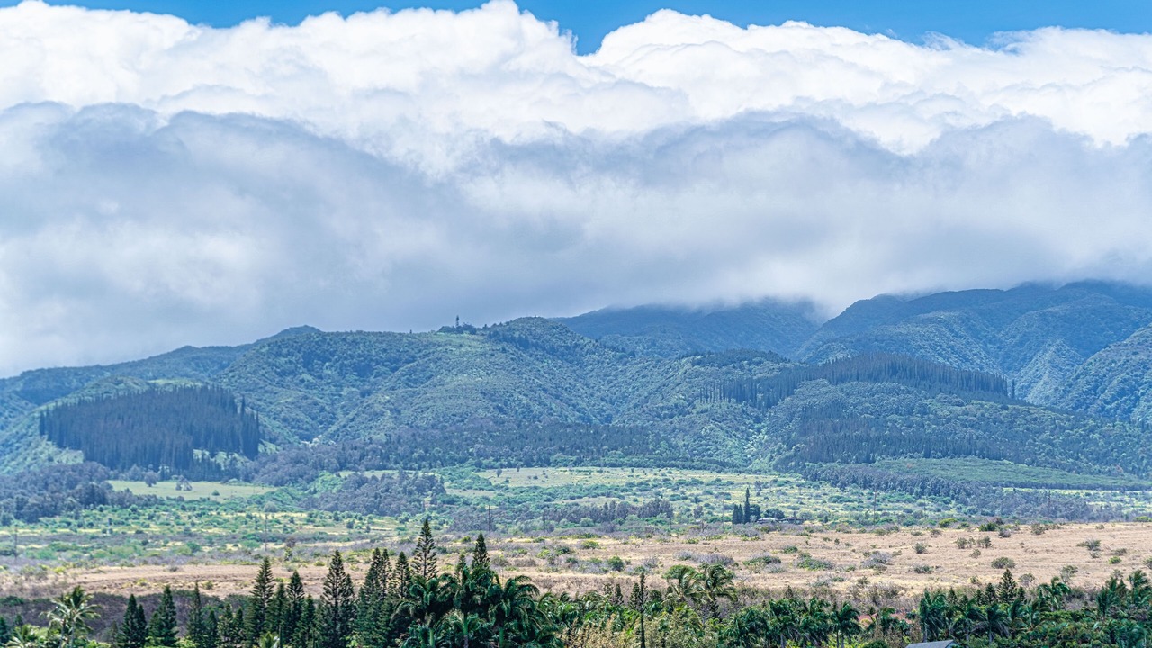 Photo of Others in Kahana