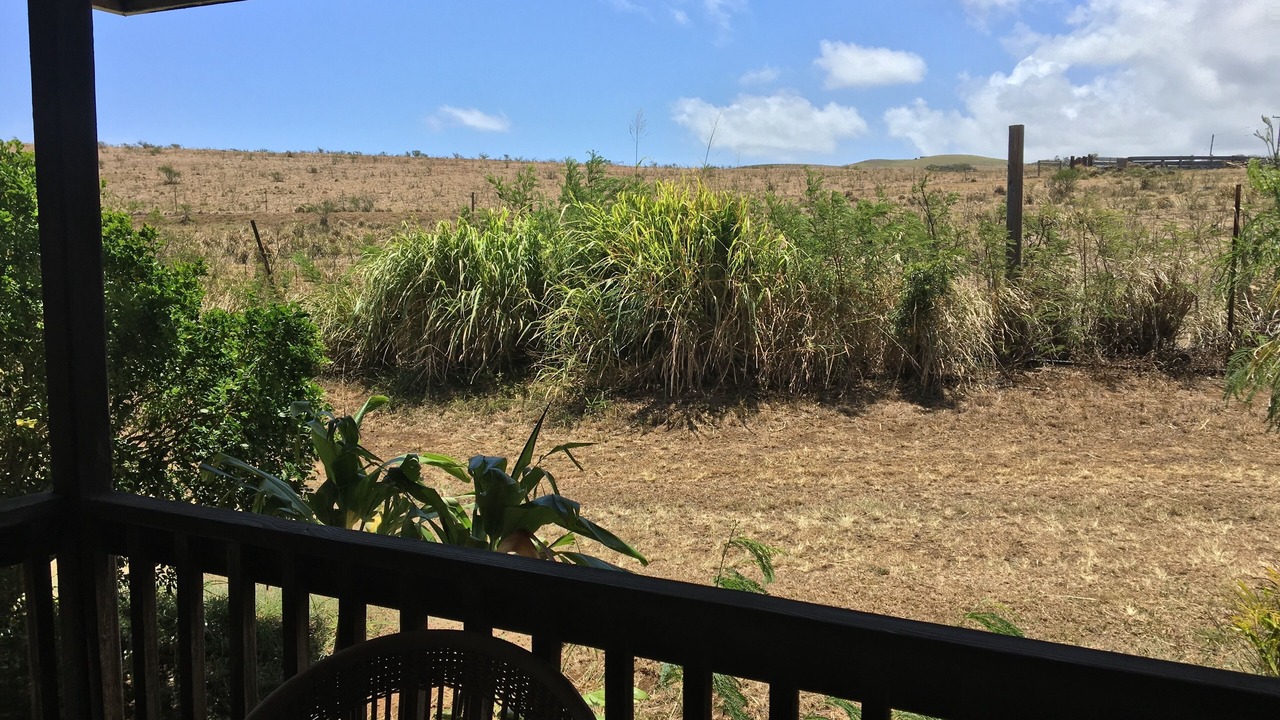 Photo of Outdoor in Hawi