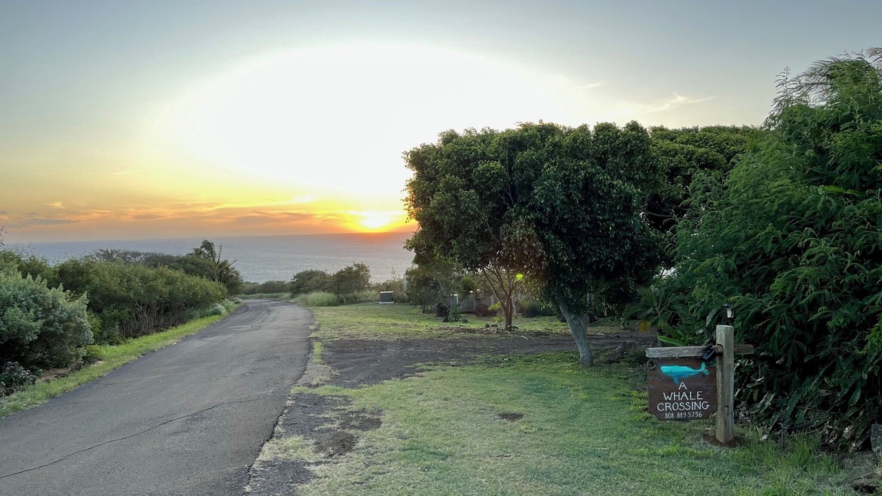Photo of Others in Hawi