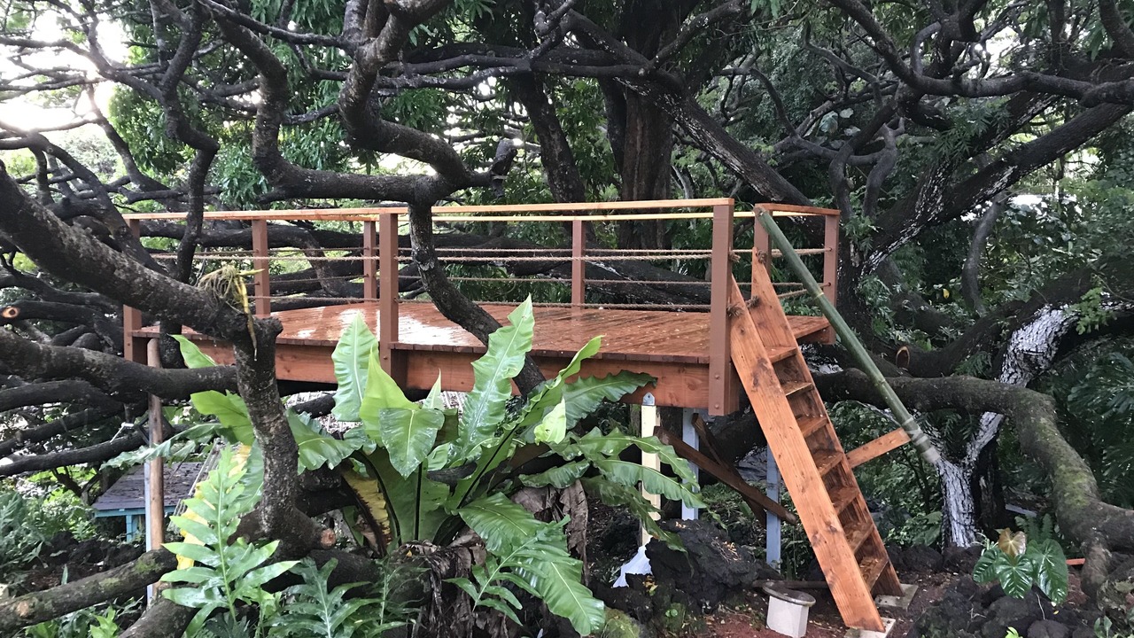Photo of Others in Puna Palisades