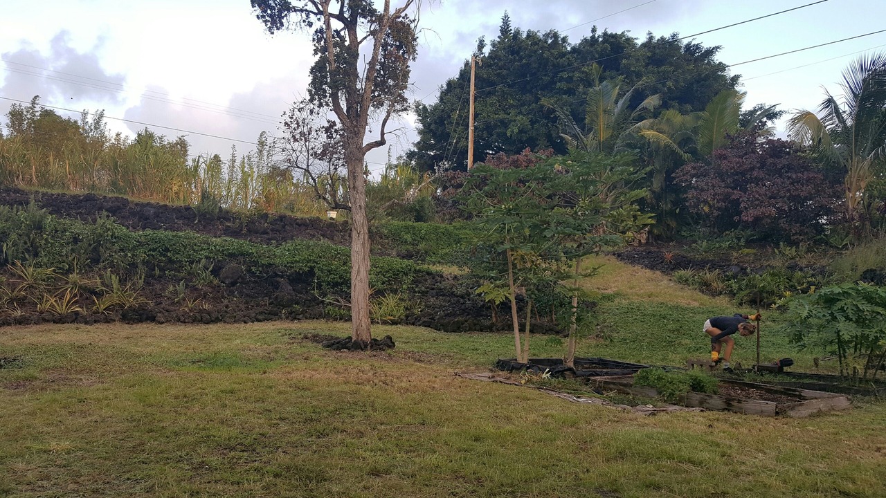 Photo of Outdoor in Puna Palisades