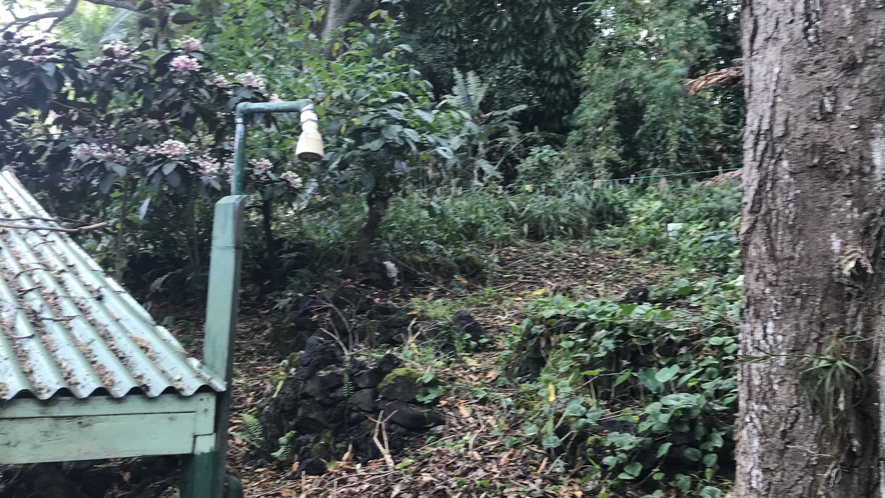 Photo of Outdoor in Puna Palisades