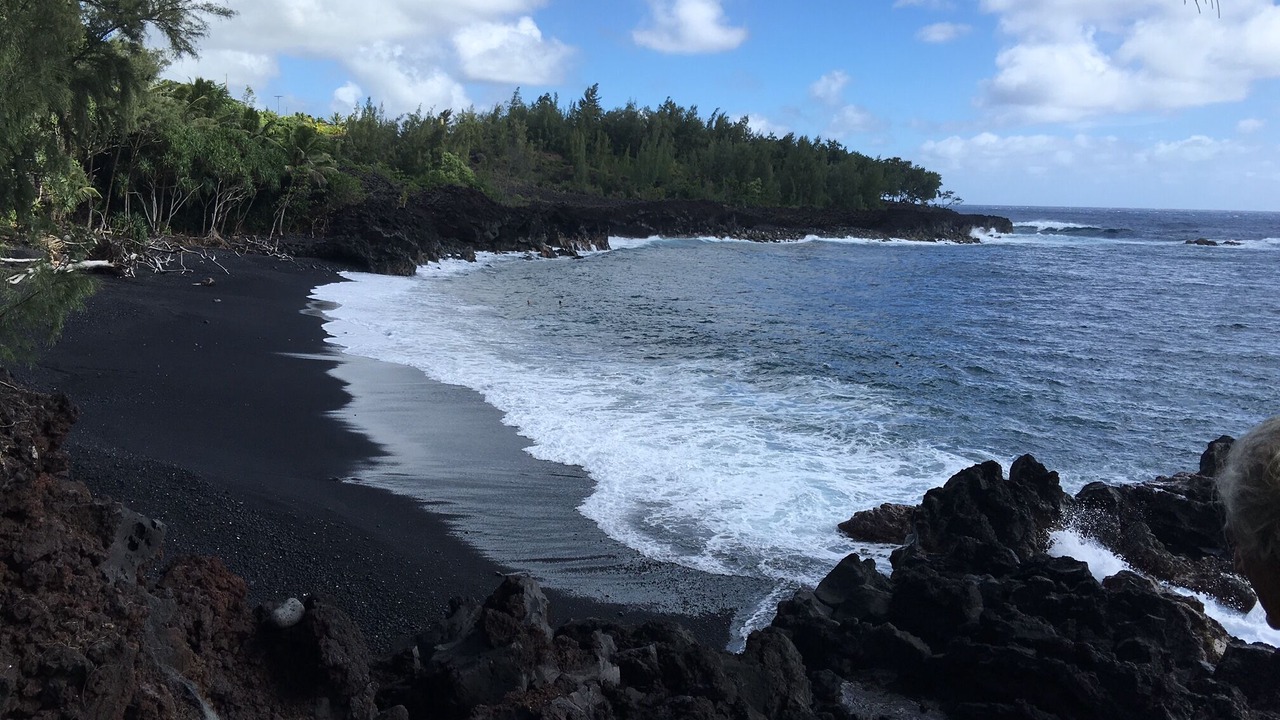 Photo of Others in Puna Palisades