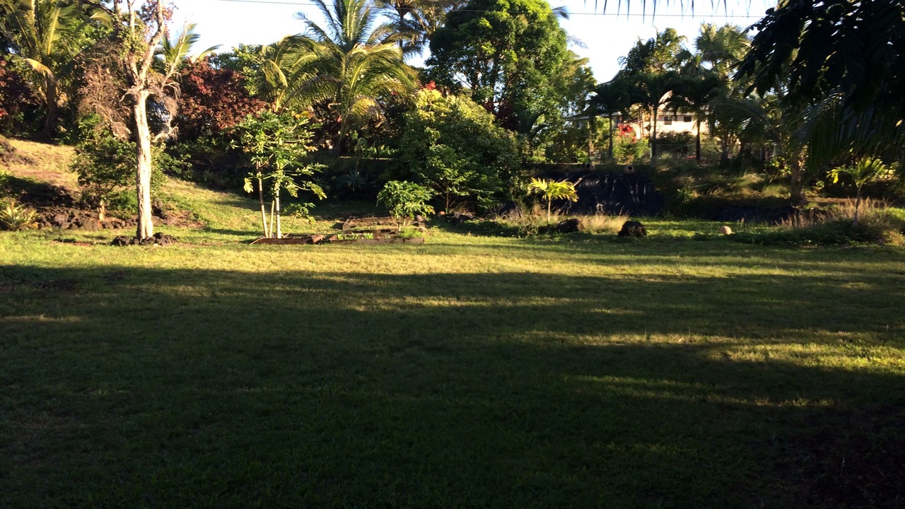 Photo of Others in Puna Palisades