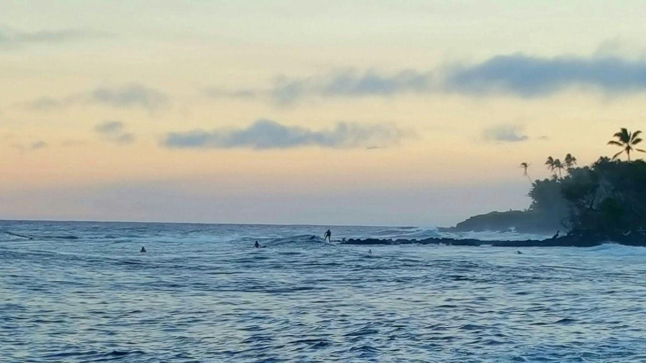 Photo of Others in Puna Palisades