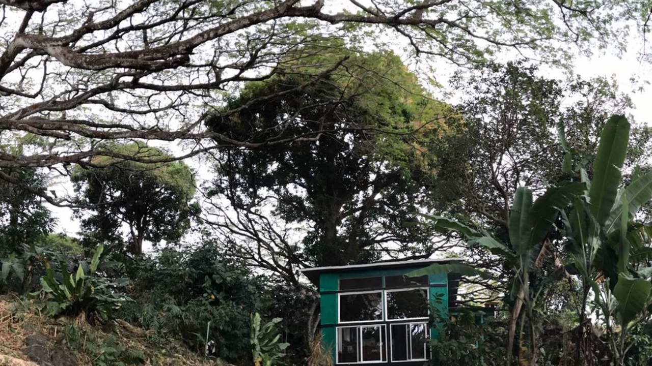 Photo of Others in Puna Palisades