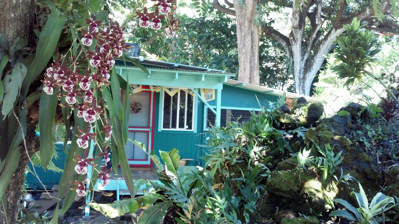 Photo of Others in Puna Palisades